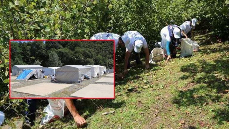 Şanlıurfalı Mevsimlik tarım işçilerinin dramı sürüyor!
