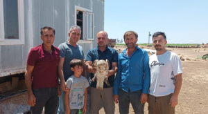 Şanlıurfa’da bitkin halde bulunan kartal tedaviye alındı