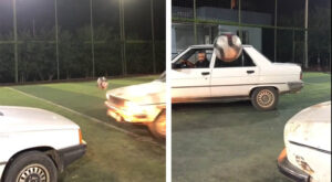 Şanlıurfa’da halı sahada arabalarla futbol oynadılar