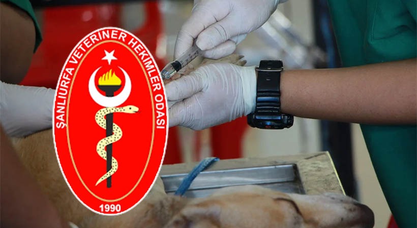 Şanlıurfa’da veteriner hekimler pazartesi iş bırakacak