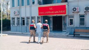 Ceylanpınar’daki Köpek tecavüzcüsü tutuklandı