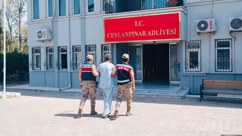 Ceylanpınar’daki Köpek tecavüzcüsü tutuklandı