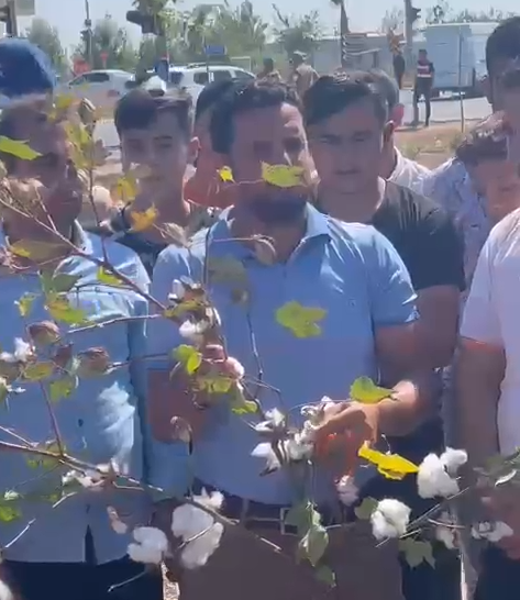 Ülkenin en önemli pamuk üretim merkezi olan Şanlıurfa’da çiftçiler isyanda