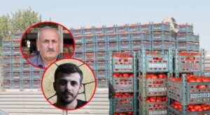 Şanlıurfa’da domateste talep yüksek! Kamyondan indiği gibi bitiyor