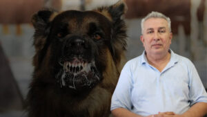 Şanlıurfa’da vakalar arttı Kuduz şüphesinde hayat kurtaran yöntem