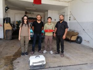 Şanlıurfa’da yaralı halde kınalı keklik bulundu