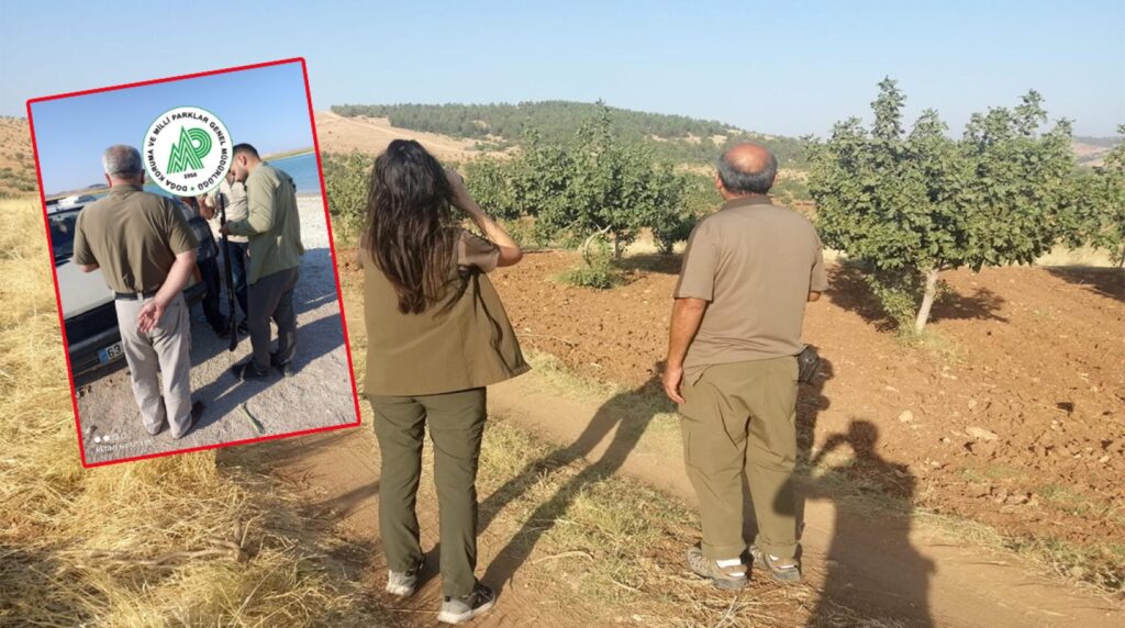 Şanlıurfa’da yasa dışı avcılığa geçit yok