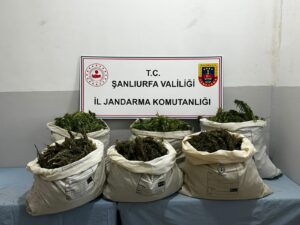 Şanlıurfa’da uyuşturucu satıcısı yakalandı