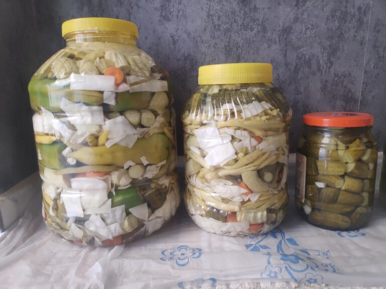 Şanlıurfa’da turşu sezonu başladı