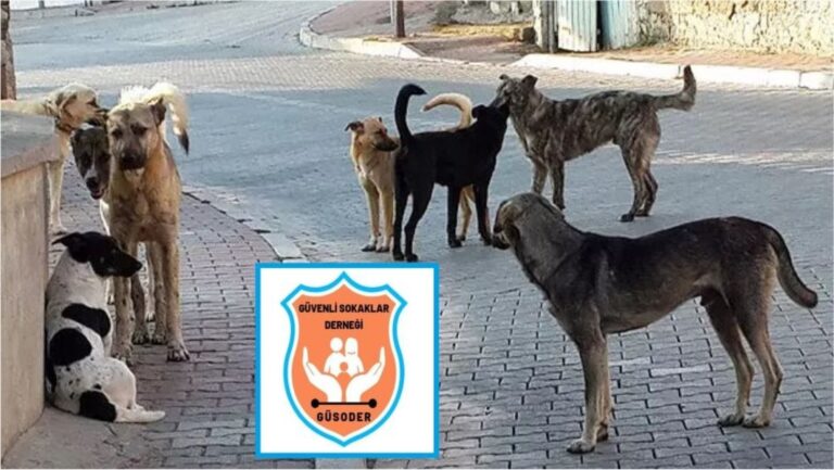 Başıboş köpek kaynaklı insan ölümleri haritasında Şanlıurfa ilk sırada