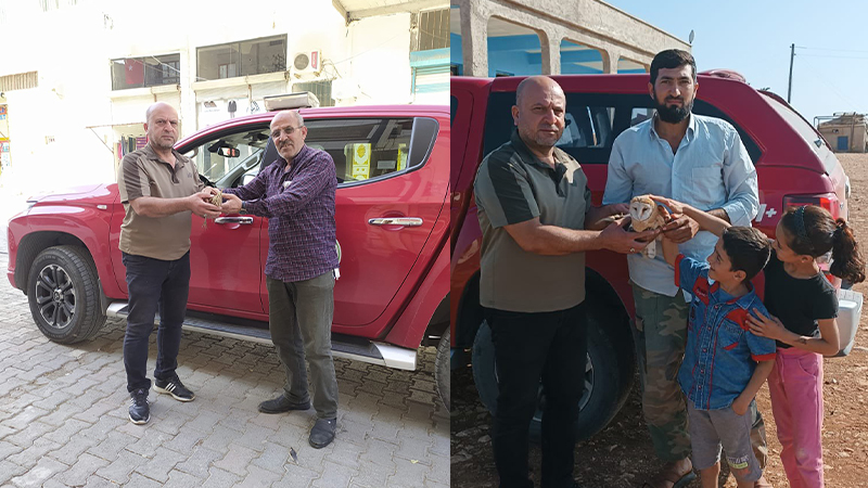 Şanlıurfa’da duyarlı vatandaşlar doğada bitkin halde bulunan kuşları kurtardı