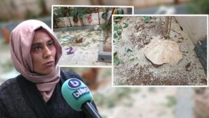 Şanlıurfa’da belediye ekipleri yanlışlıkla 20 yaşındaki ağacı kesti