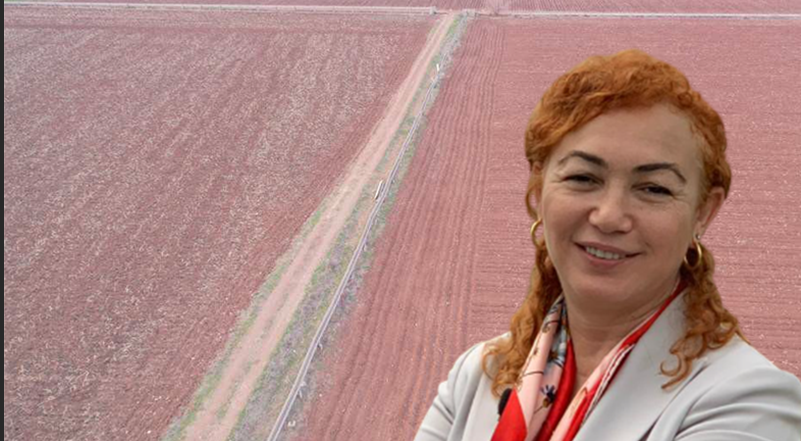 Şanlıurfa’da kuraklık riski yeniden gündemde