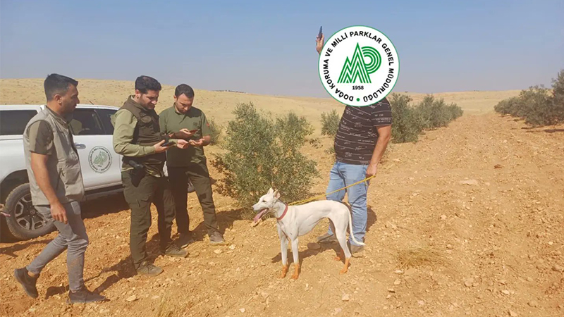 Şanlıurfa’da usulsüz avcılık denetimleri sürüyor