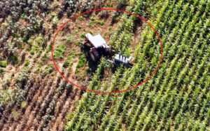 Şanlıurfa’da Dedaş ekipleri ile çiftçiler arasında kavga: 7 gözaltı