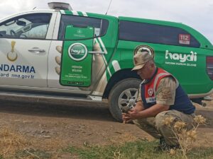 Siverek’te nesli tükenmekte olan Turaç Kuşu bulundu