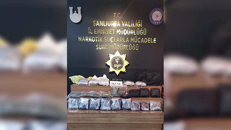 Şanlıurfa’da 15 kilo 550 gram skunk ele geçirildi