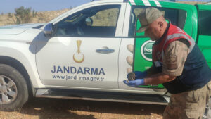 Viranşehir’de yaralı balaban kuşu bulundu