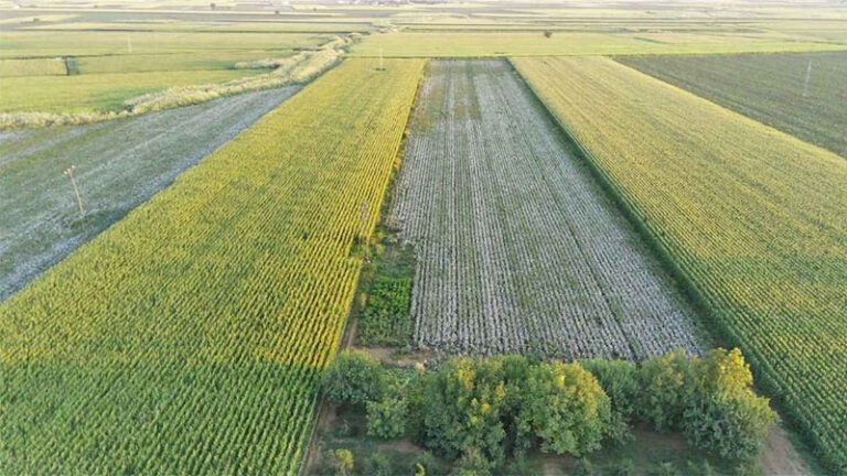 Tarım arazilerindeki intikali önlemek için yeni düzenleme