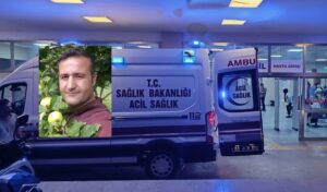 Şanlıurfa’da feci kaza: Otomobil sürücüsü öldü