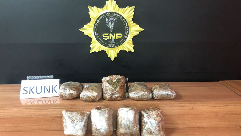 Şanlıurfa’da 4 kilo 400 gram skunk ele geçirildi
