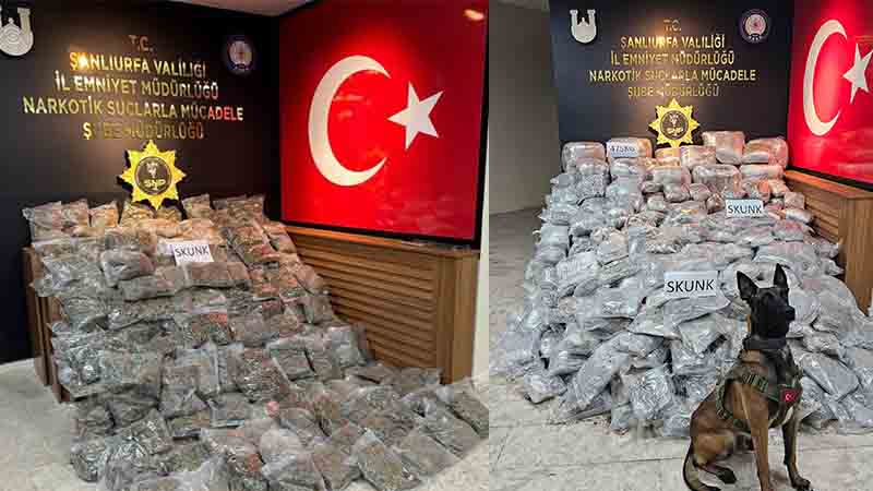Şanlıurfa’da 565 kilo skunk ele geçirildi