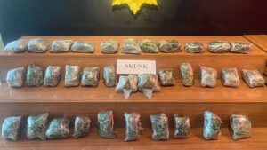 Şanlıurfa’da 21 kilo skunk ele geçirildi