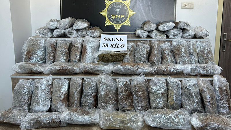 Siverek’te 58 kilo skunk ele geçirildi