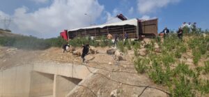 Şanlıurfa’da küçükbaş hayvan yüklü tır devrildi, 80’e yakın hayvan telef oldu