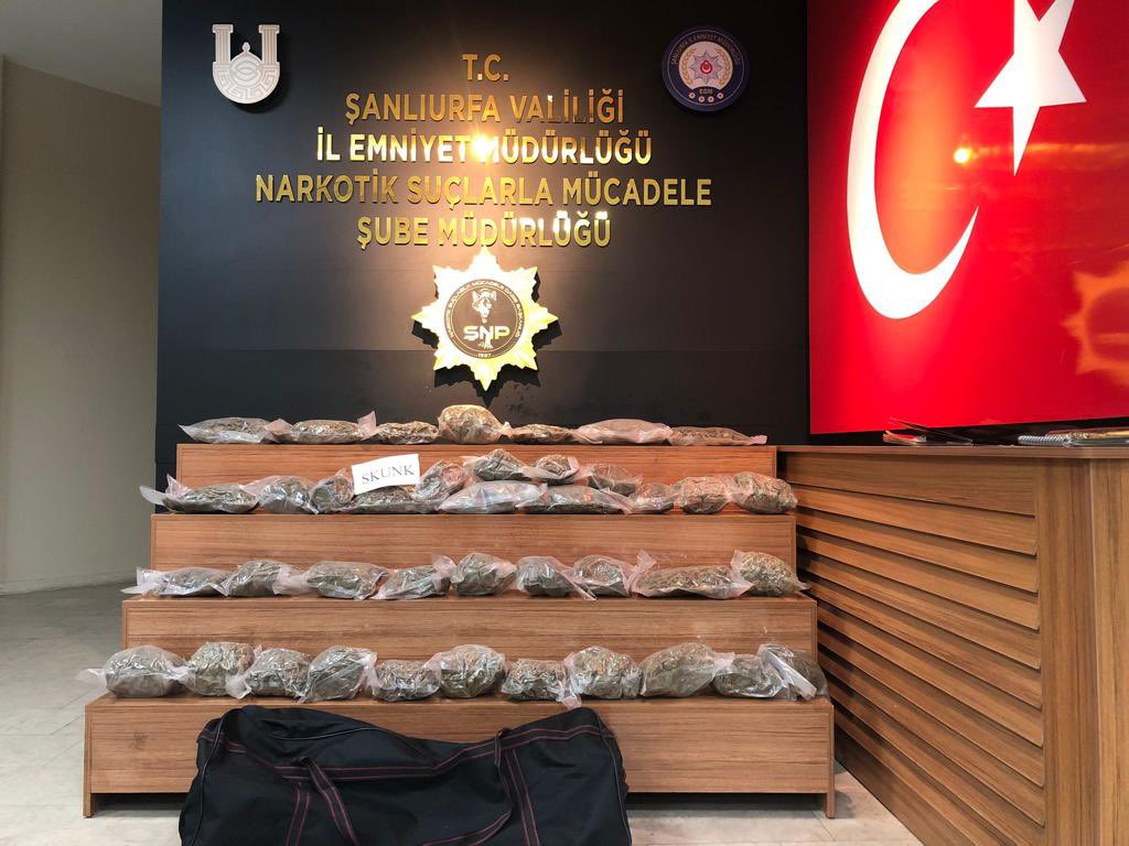 Şanlıurfa’da 32 kilo 550 gram Skunk ele geçirildi
