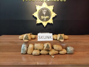Şanlıurfa’da 4,5 kilo skunk ele geçirildi
