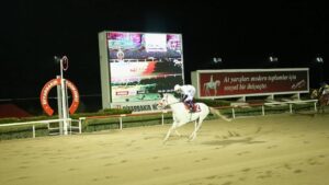 Diyarbakır Hipodromu’nda “Hilvanlım” rüzgarı esti