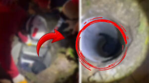 Karaköprü’de rögara düşen vatandaş itfaiye ekiplerince kurtarıldı