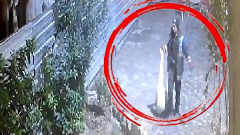 Şanlıurfa’da Bir çuval dolusu kedi cami avlusuna bırakıldı