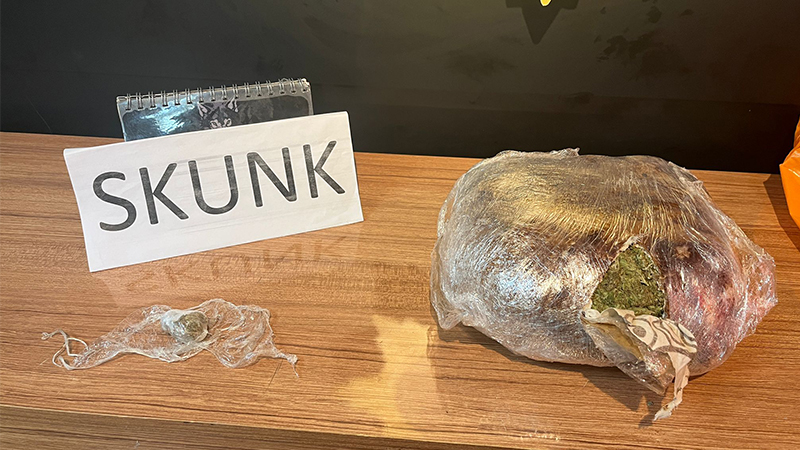 Şanlıurfa’da 4 kilo 50 gram kimyasal uyuşturucu ele geçirildi