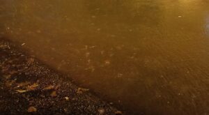 Şanlıurfa’da Yağmur Sel ve Su baskını endişesi yarattı