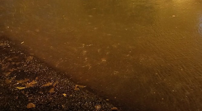 Şanlıurfa’da Yağmur Sel ve Su baskını endişesi yarattı