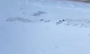 Karacadağ’ı kar beyaza bürüdü