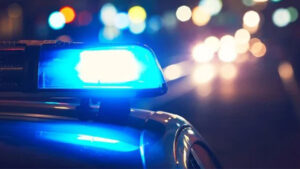 Şanlıurfa’da hırsızlık suçundan firari şahıs yakalandı