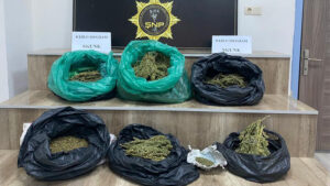 Siverek’te 8 kilo 210 gram skunk ele geçirildi