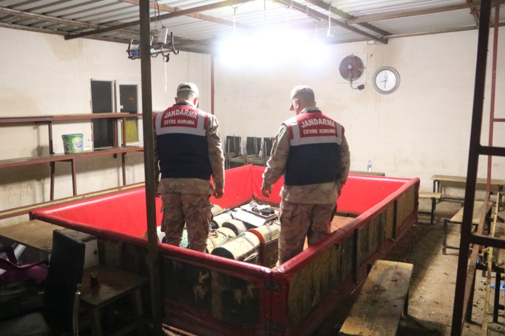 Siverek’te yasadışı bahis operasyonu: 10 horoz ele geçirildi, 34 kişiye ceza yağdı