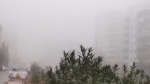 Şanlıurfa’da sis etkili oldu