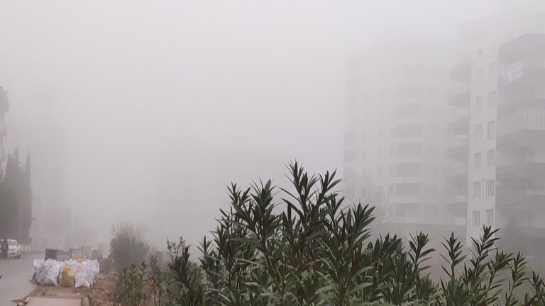 Şanlıurfa’da sis etkili oldu