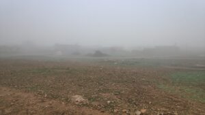 Akçakale ve Harran’da sis hayatı olumsuz etkiledi