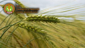 TİGEM’in En büyük işletmesi Şanlıurfa’da! Yöneticilerini ihya etmiş