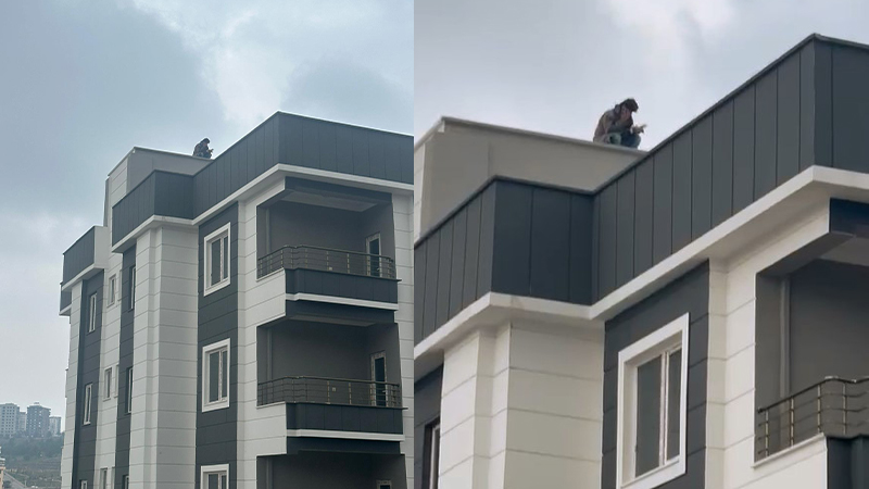 Şanlıurfa’da 10 katlı binanın tepesinde intihar girişimi