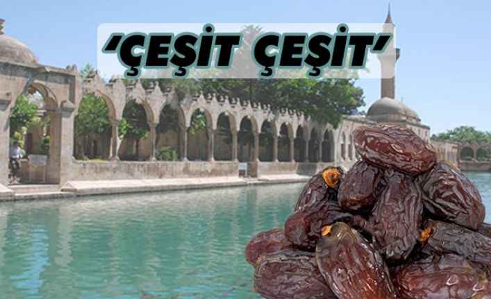 Şanlıurfa’da hurma fiyatları Ramazan öncesi cep yakıyor!