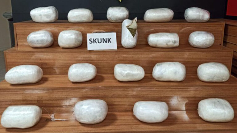 Şanlıurfa’da 20 kilo skunk ele geçirildi!