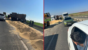 Şanlıurfa’da Kamyon Devrildi, Buğdaylar yola saçıldı: Trafik felç oldu