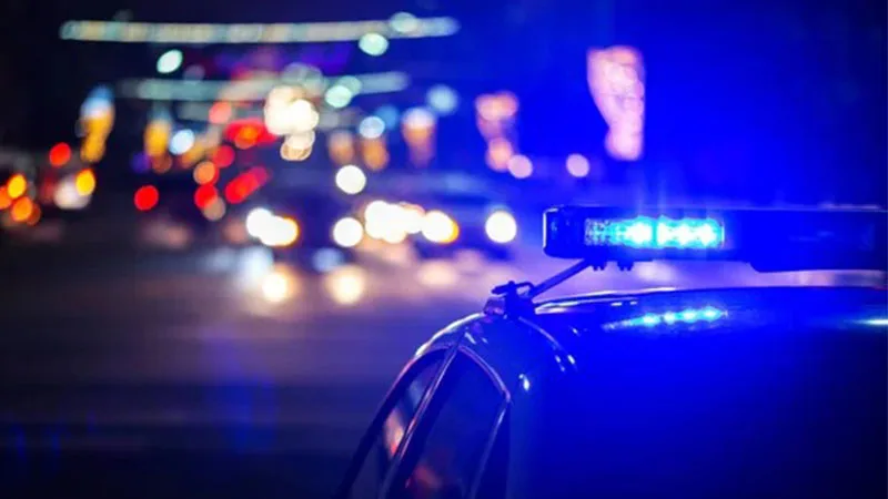 Şanlıurfa dahil 21 ilde bozdoğan-18 operasyonu: 51 gözaltı